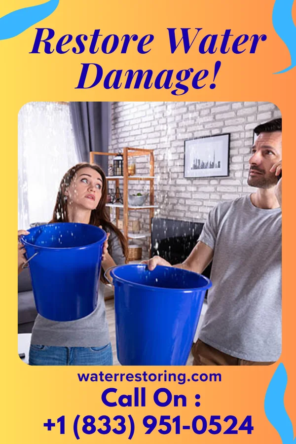 water restoration New Flood Damage Crew Oakbrook