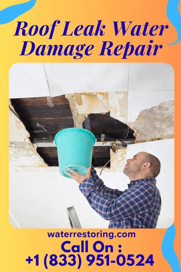 Roof Leak Water Damage Repair in Oakbrook, KY