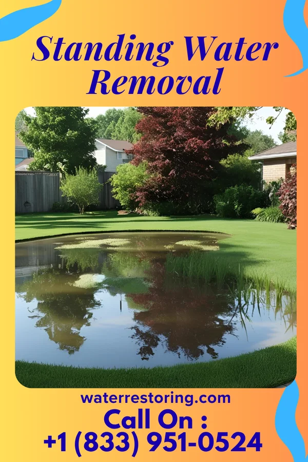 Standing Water Removal in Oakbrook, KY
